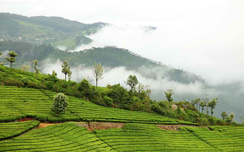 Coonoor